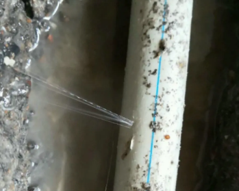 钦北卫生间测漏水多少钱